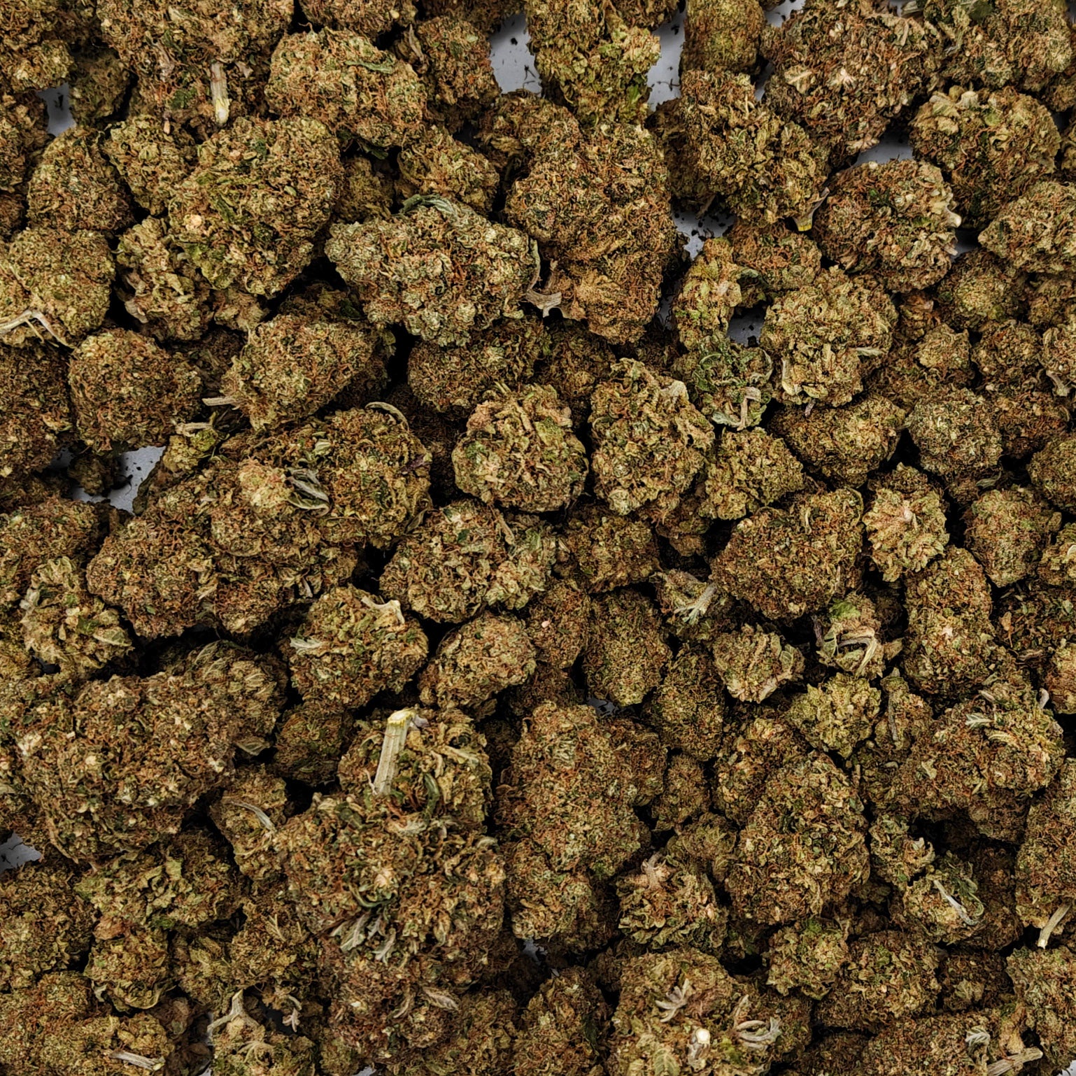 Lemon Zkittlez ++