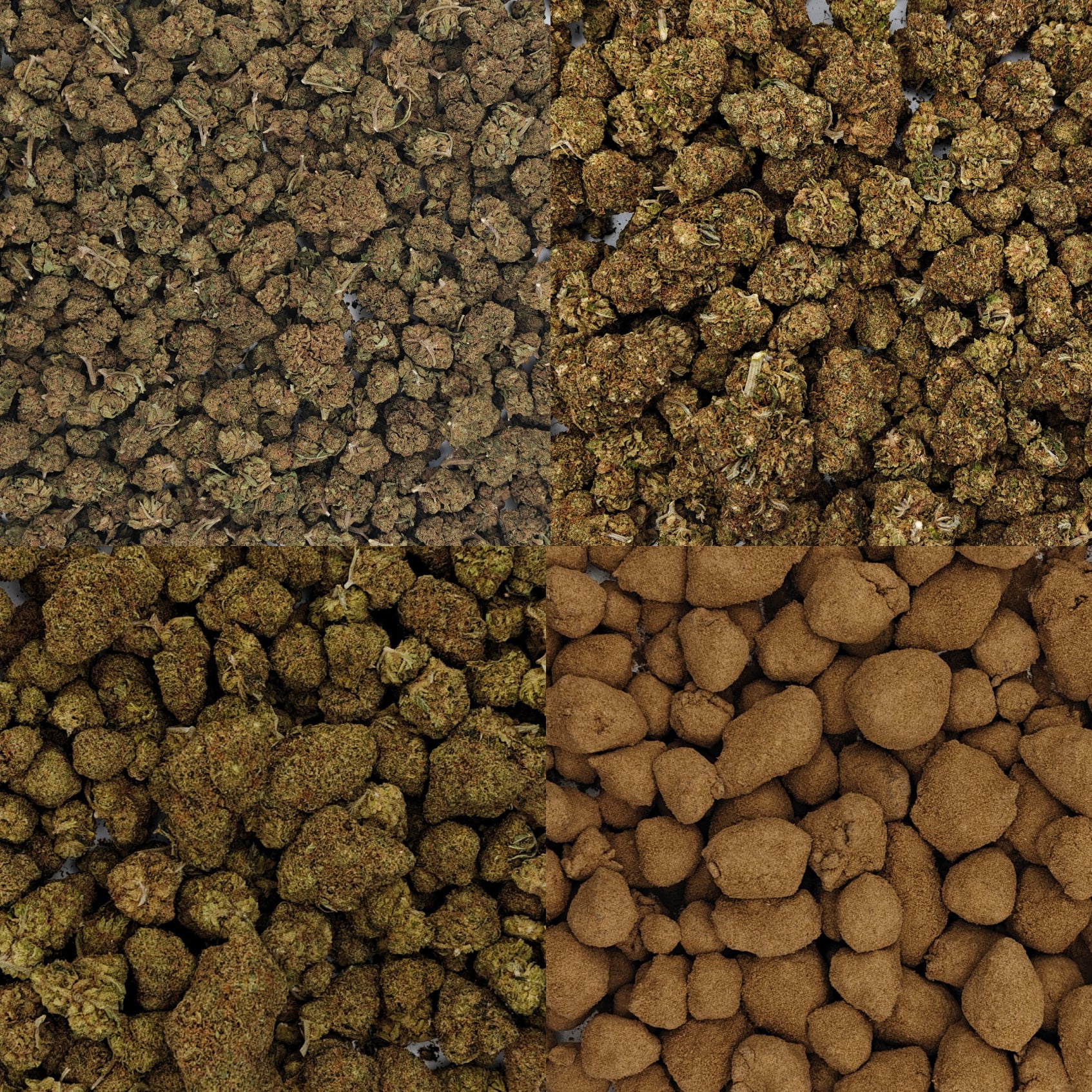 Pack découverte fleurs CBD Zen Haze – différentes variétés premium aux têtes compactes et qualité contrôlée