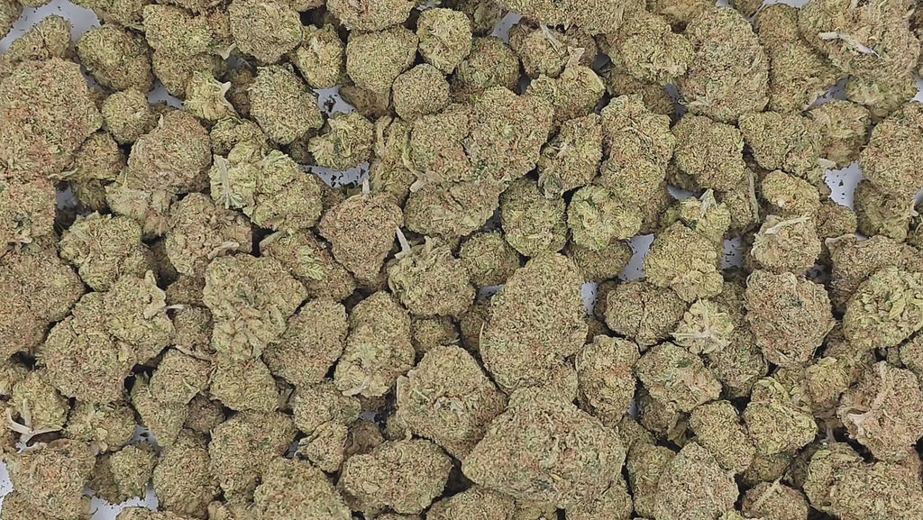 M.A.C (LAC) – Indoor Hydro Cali premium ++